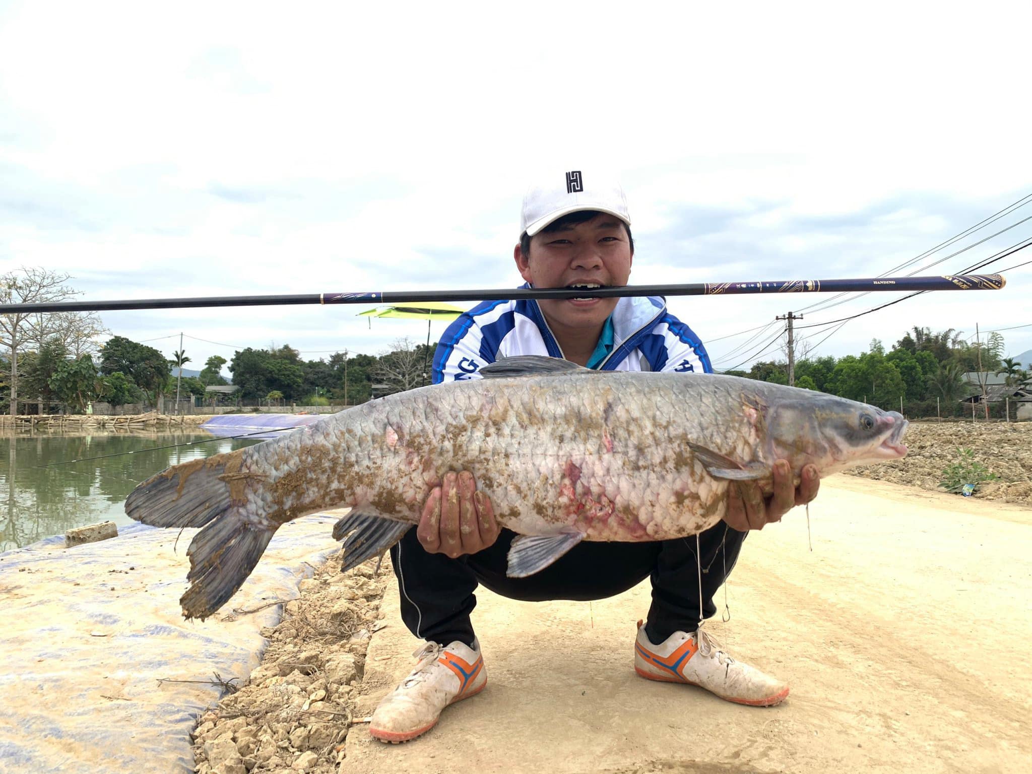 Vấn đề thường gặp khi cá không ăn mồi - Vietnam Fishing
