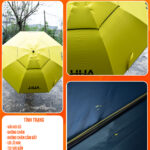 Dù Câu HUA Vàng 2m2