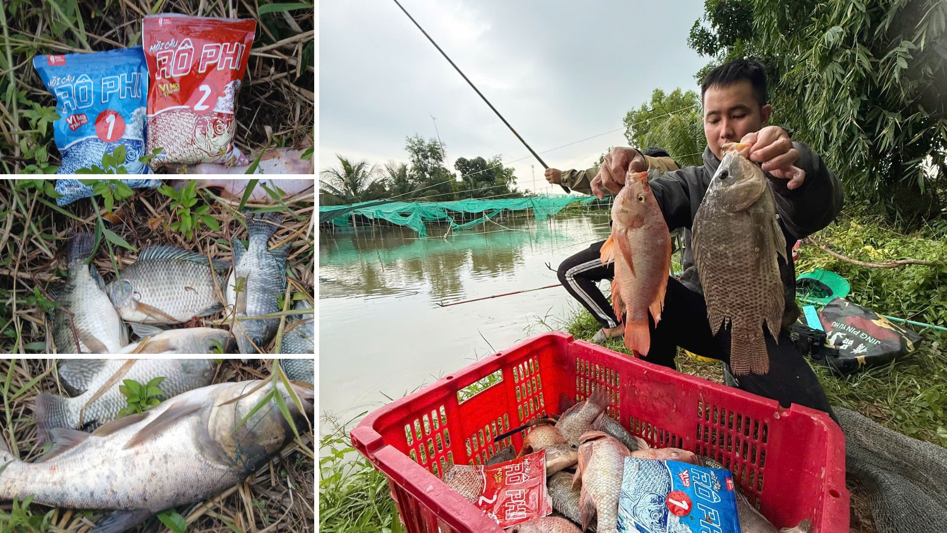 Cách điều chỉnh mùi vị linh hoạt theo từng trạng thái hồ