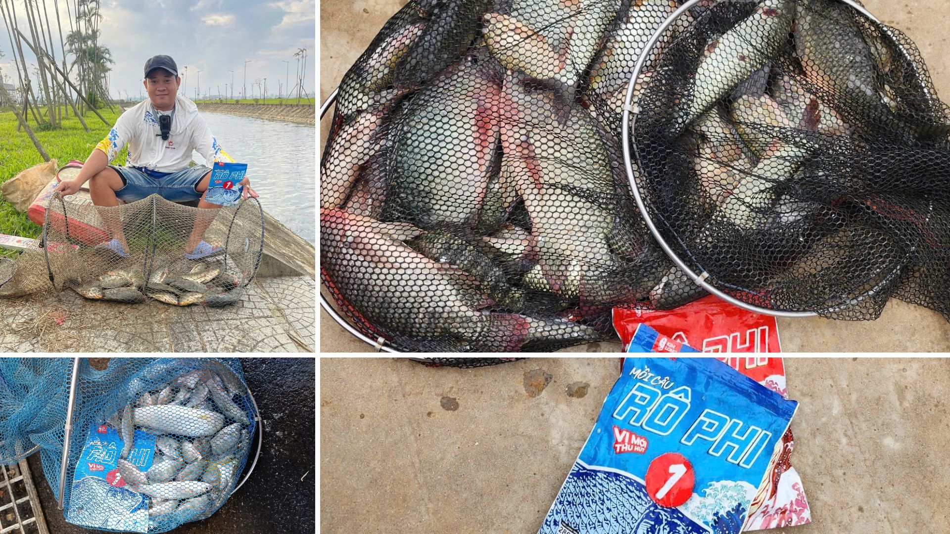 Kỹ thuật câu cá rô phi: Cách giữ ổ và đè phao liên tục