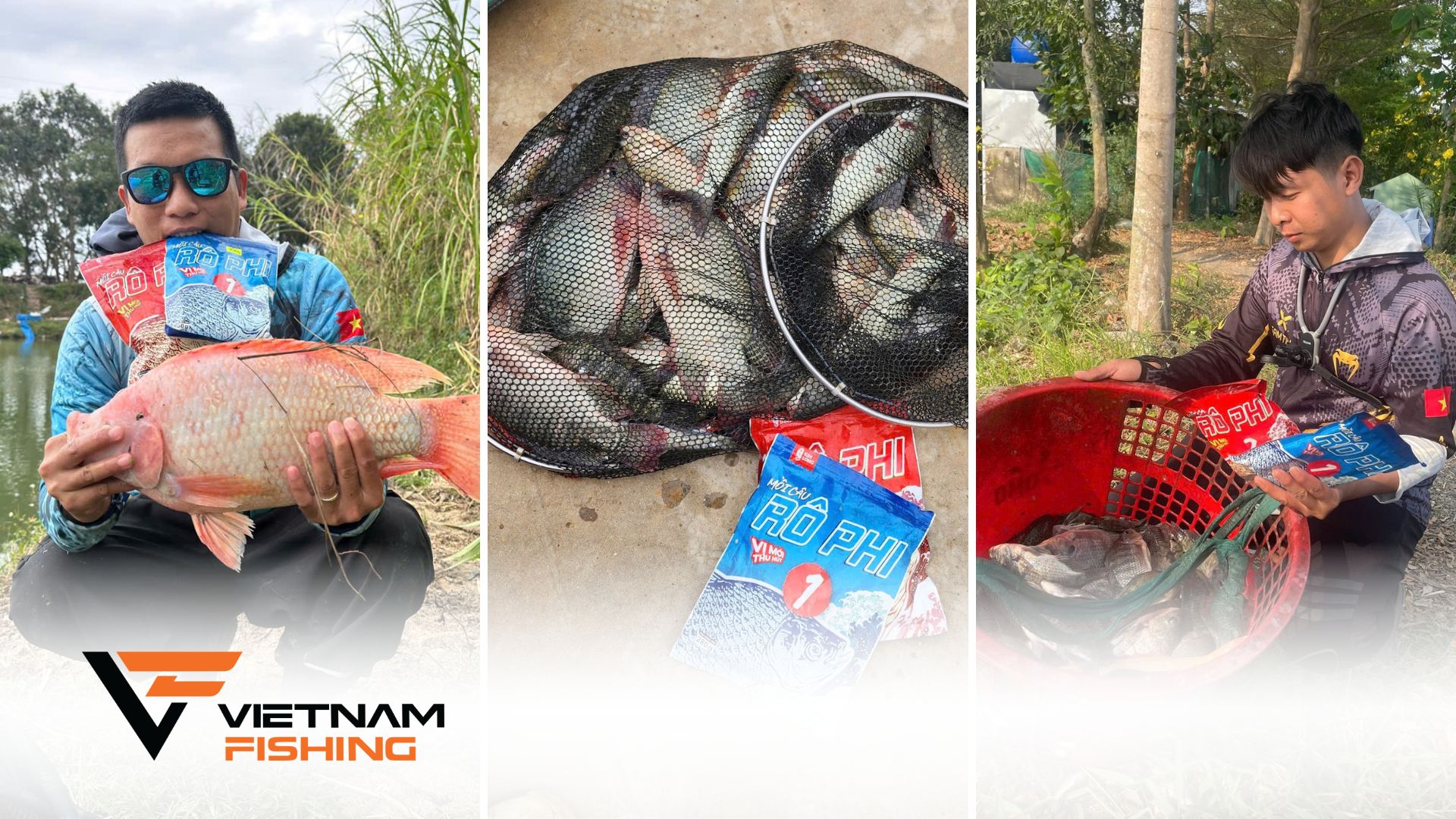 Mồi câu rô phi Kim Long số 1 & 2: Cặp bài trùng "phá đảo" mọi hồ câu