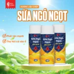 Hương Liệu Chép Sữa Ngô Ngọt KIM LONG 150g